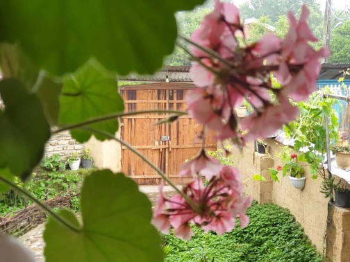 بوم گردی سرای رستم دو