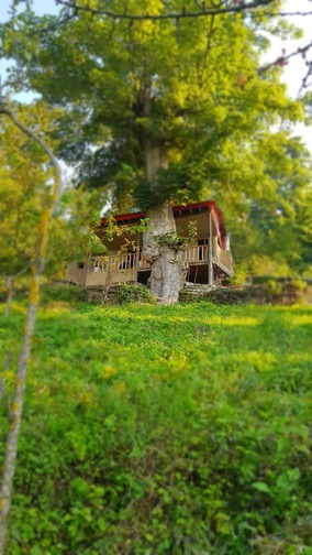 بوم گردی کلبه آبشار واحد یک