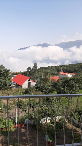 ویلای جنگلی دالخانی