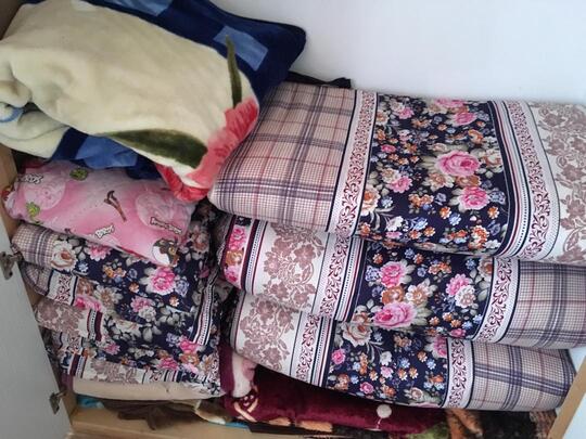 ویلای جنگلی