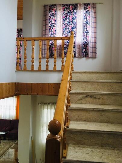 ویلای جنگلی