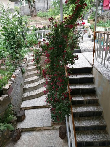 ویلا سرای ون دار