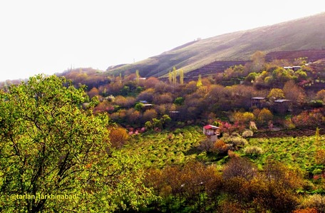 بوم گردی ترلان (اتاق1)