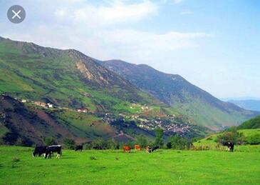 بومگردی بابا نوروز