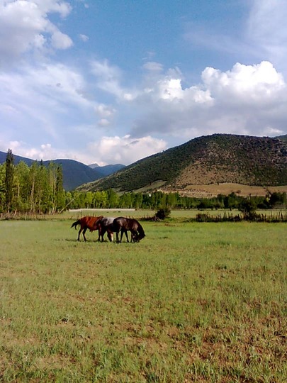 بوم‌گردی ماسو