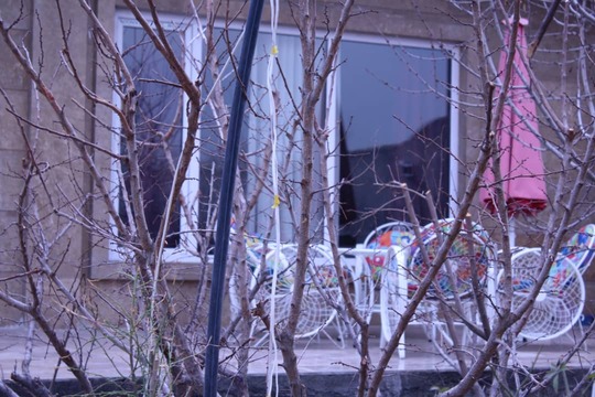 ویلای شهریار