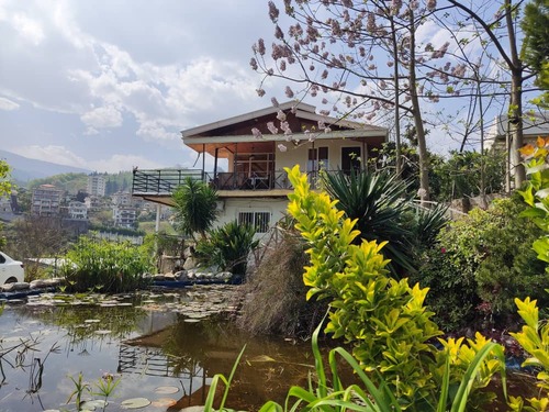 ویلا گل شمعدانی