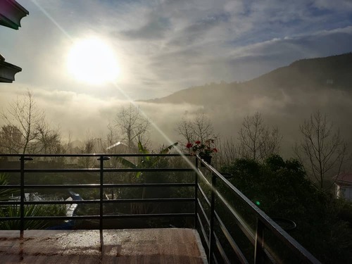 ویلا گل شمعدانی