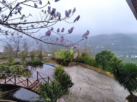 ویلا گل شمعدانی