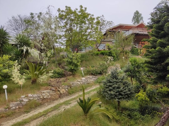 ویلا گل شمعدانی