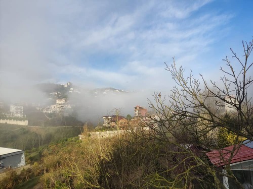 ویلا گل شمعدانی