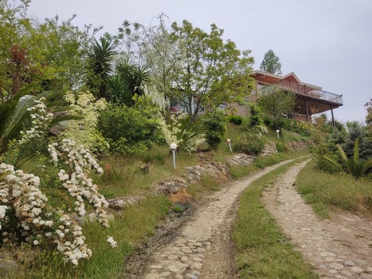 ویلا گل شمعدانی