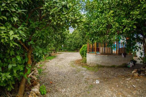 ویلا جنگلی مارکوه