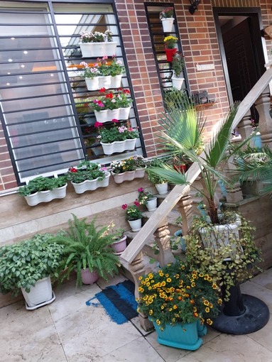 کلبه با فضای رویایی