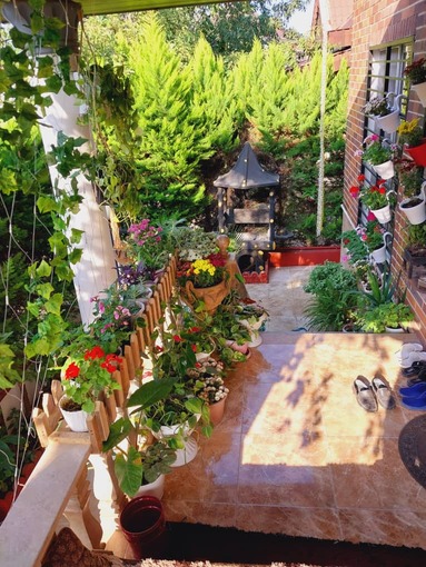 کلبه با فضای رویایی