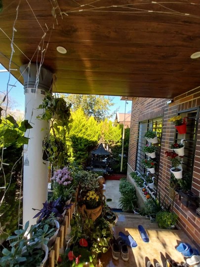 کلبه با فضای رویایی