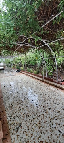 باغ ویلا ملارد