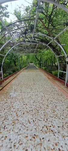 باغ ویلا ملارد