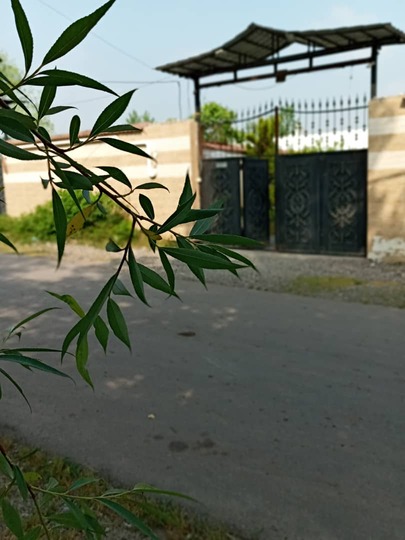  بوم گردی باغ سالار رشت سوییت دو خواب شماره شش 