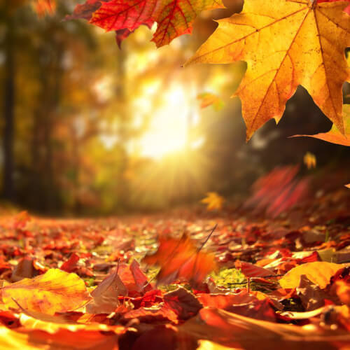 بهترین مناطق ایران برای مسافرت در پاییز